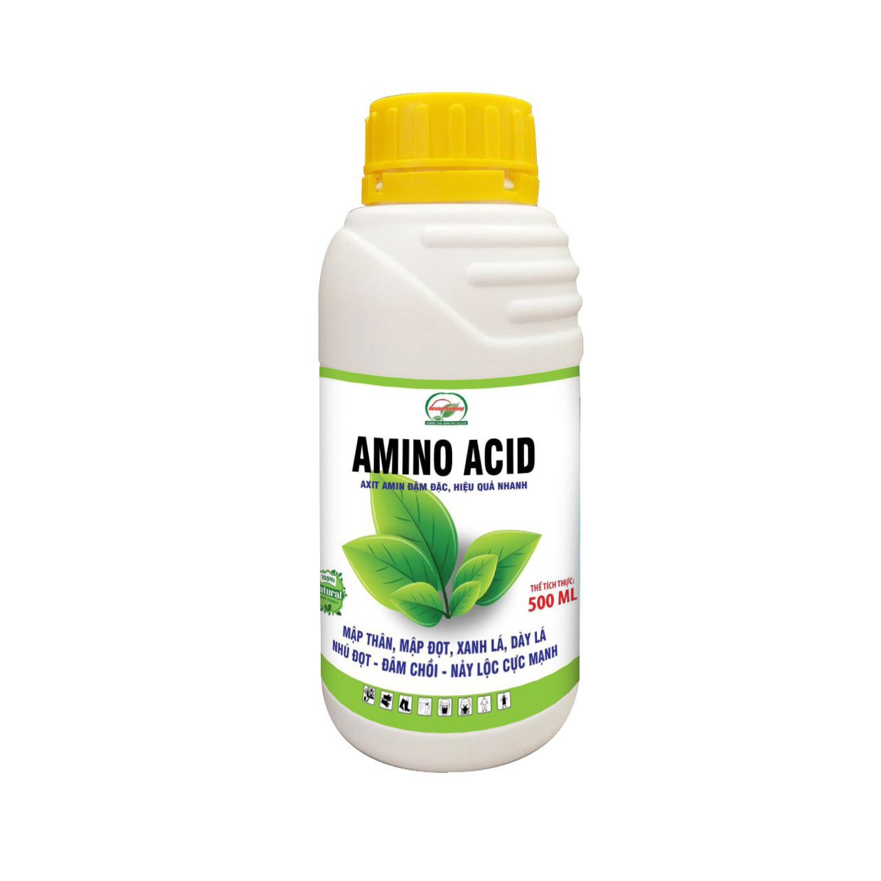 Amino Acid_Chai 500ml_ Mập thân, mập đọt, giải nhiệt, chống sốc